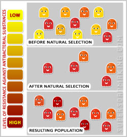 Antibacterial Resistance