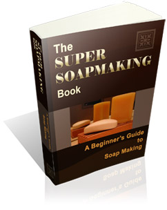 the super soap making book